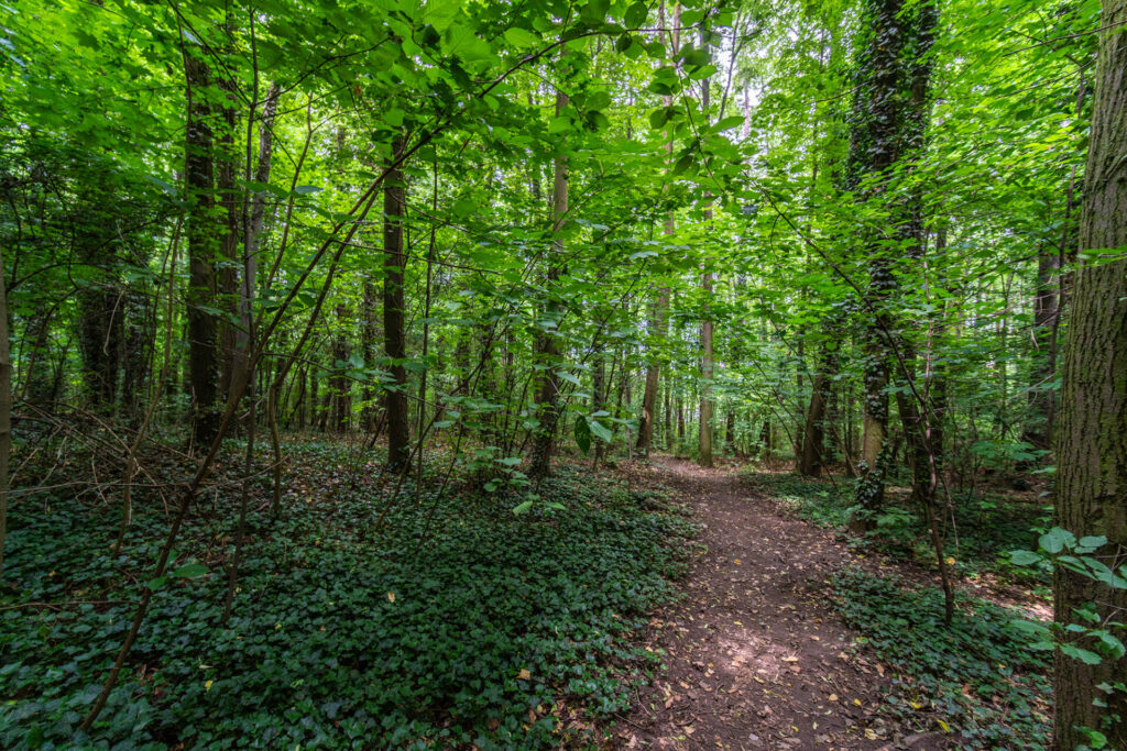 příměstské bydlení šárka sabová