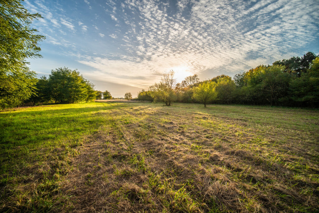bydlení v rekreačním objektu šárka sabová realitní makléř praha