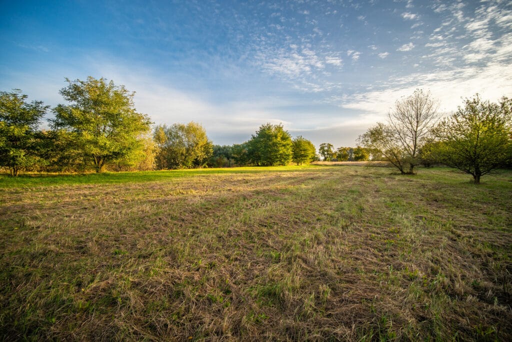 koupě starší nemovitosti šárka sabová realitní makléř
