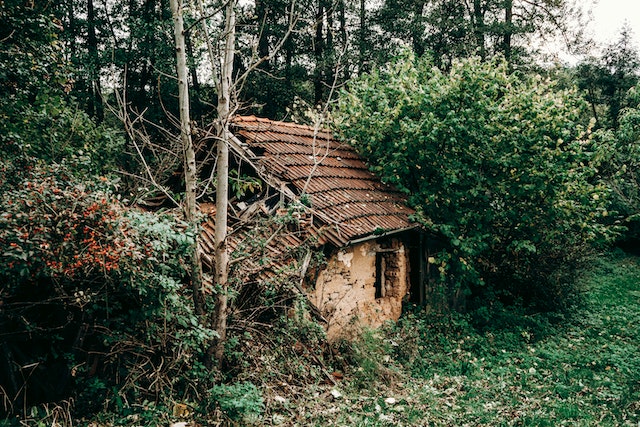 co může odradit kupce šárka sabová realitní makléř praha