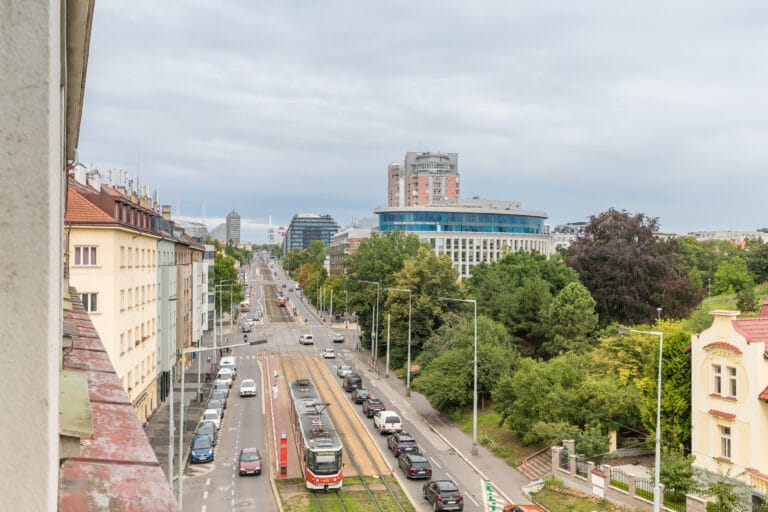 daň z věcí nemovitých daňové přiznání Šárka Sabová realitní makléř
